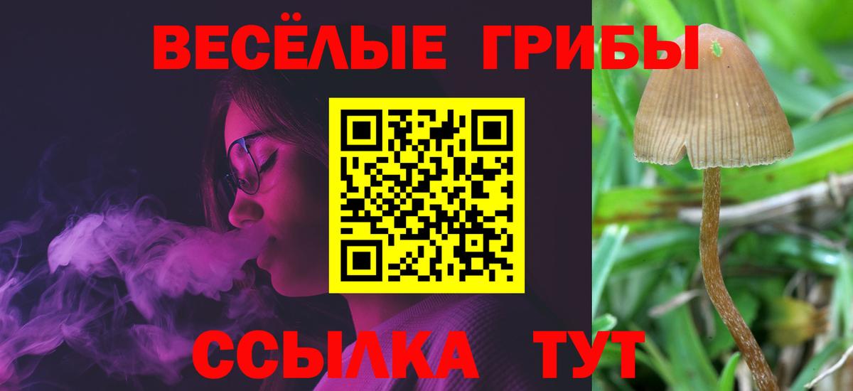 Галлюциногенные грибы ЛСД  Псилоцибиновые грибы Magic Shrooms  Кыштым  Вход с VPN 